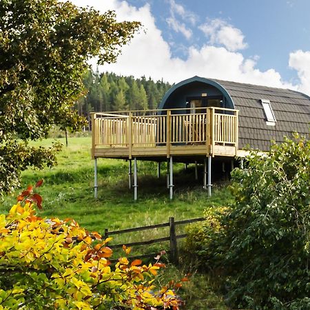 הוילה ניוטונמור Spectacular Mountain View Ecopod מראה חיצוני תמונה