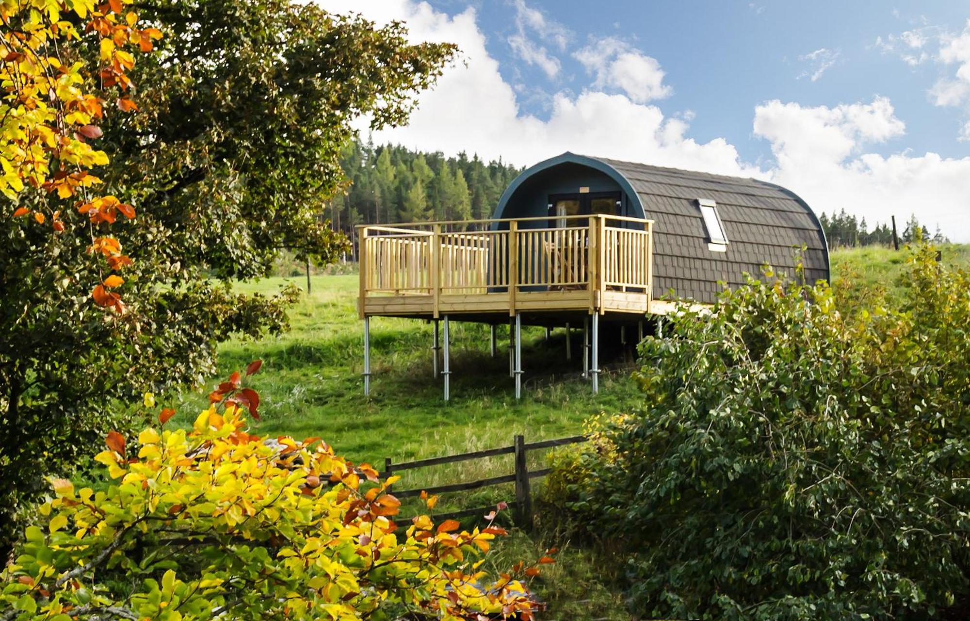 הוילה ניוטונמור Spectacular Mountain View Ecopod מראה חיצוני תמונה